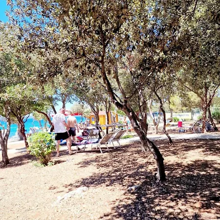 Residence-apartment-giuliano-punta Skala By Interhome * Petrcane